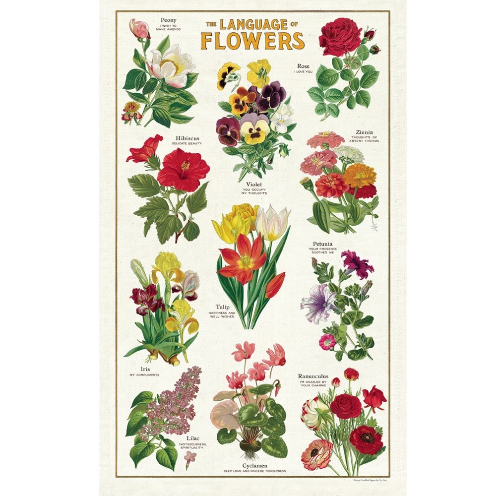 Anthropologie Floral 'The Language of Flowers' Kitchen Towel - Multicolor